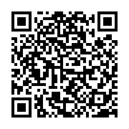 QR code for O33538