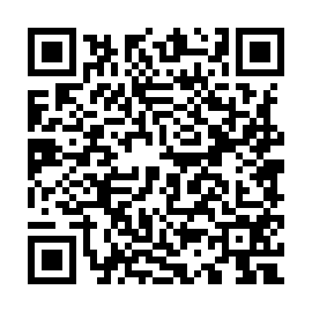 QR code for O349541