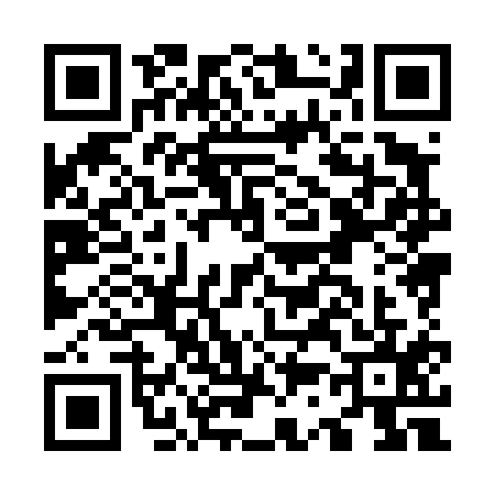 QR code for O384153