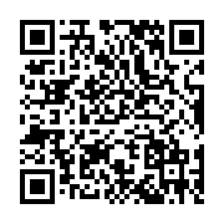 QR code for O384716