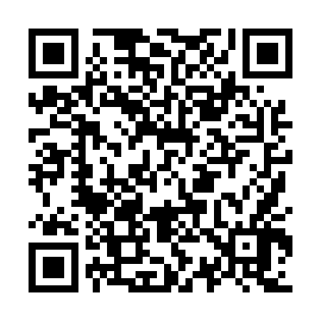 QR code for O38546
