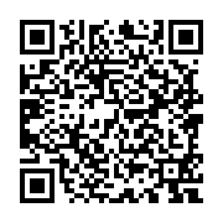 QR code for O385902