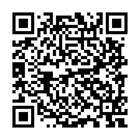 QR code for O38595