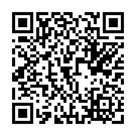 QR code for O386313