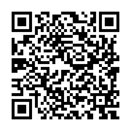 QR code for O389937