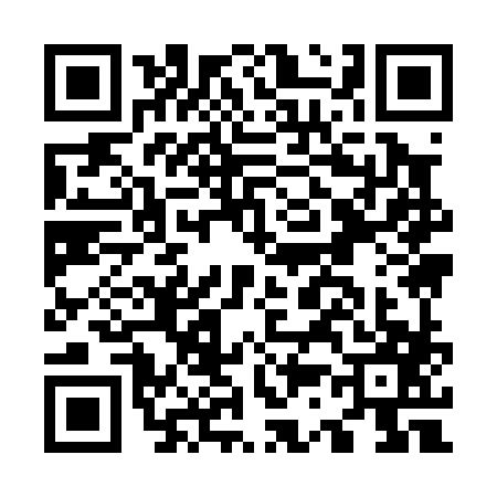 QR code for O390877