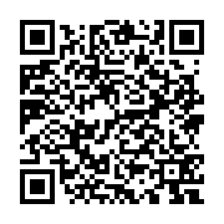 QR code for O393738
