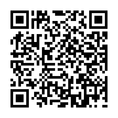 QR code for O393826