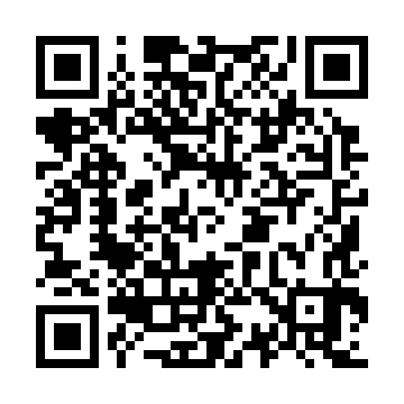 QR code for O39383