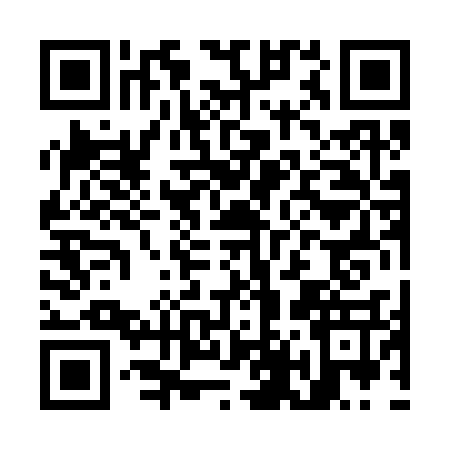 QR code for O403379