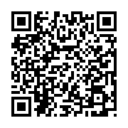 QR code for O418743