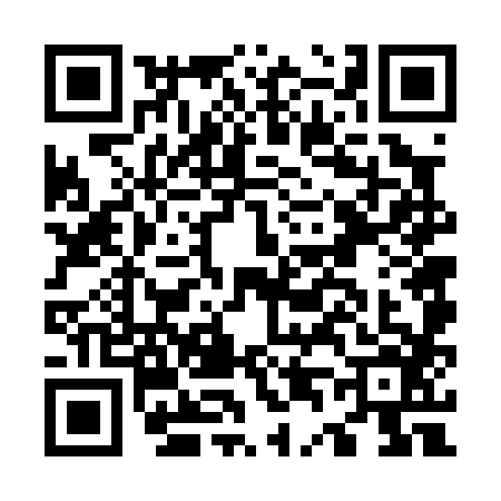 QR code for O460863