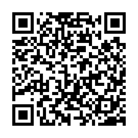 QR code for O46771