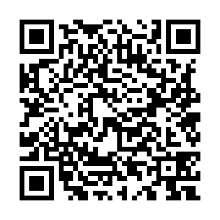 QR code for O479381