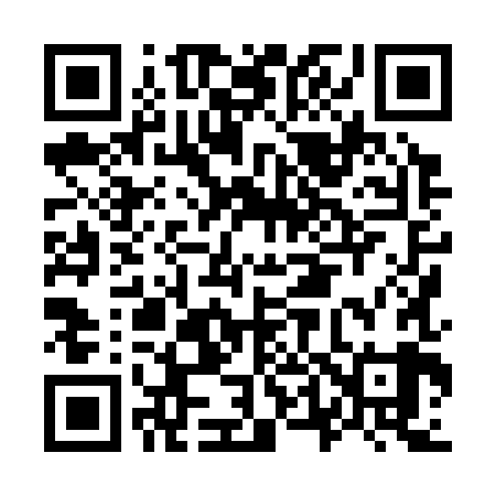 QR code for O48389
