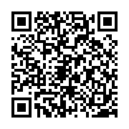 QR code for O491336