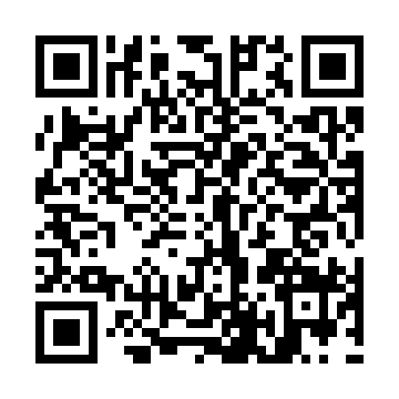 QR code for O493996