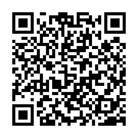 QR code for O49538
