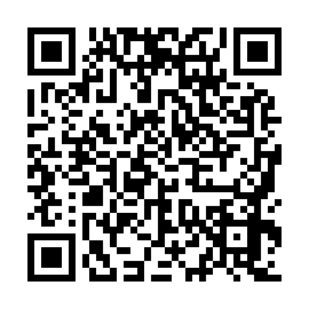 QR code for O499789