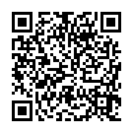 QR code for O501879