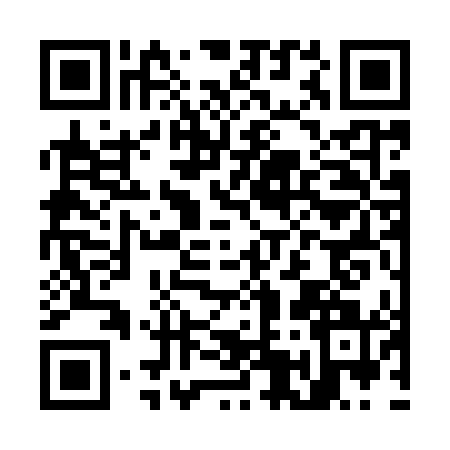 QR code for O539413