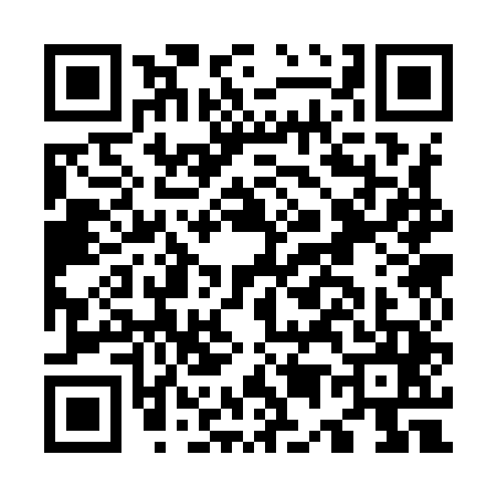 QR code for O539451