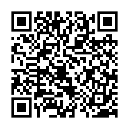 QR code for O542739