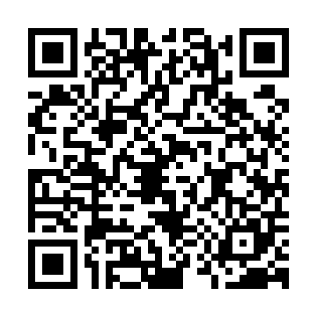 QR code for O595052