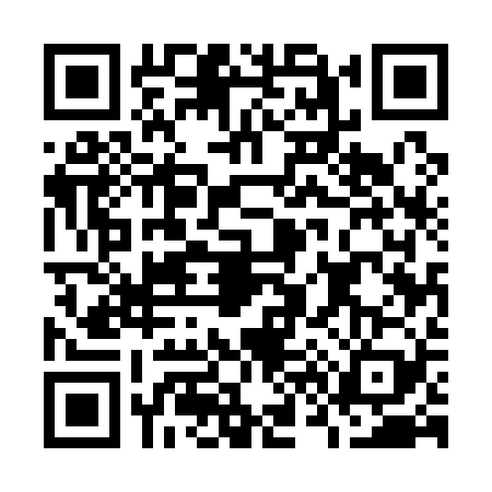 QR code for O651294
