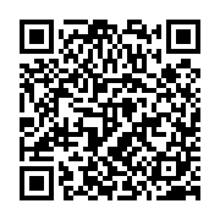 QR code for O66541