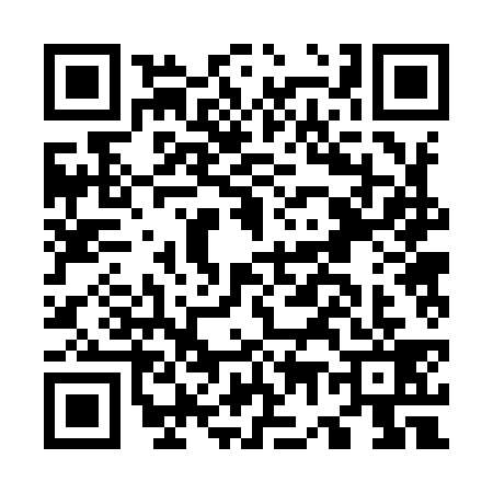 QR code for O729392