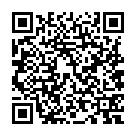 QR code for O869701