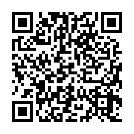 QR code for O938381