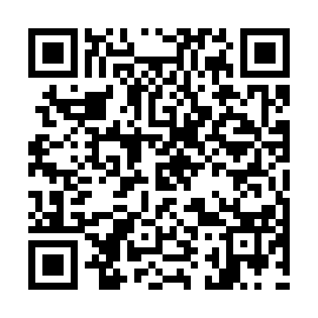QR code for O95313