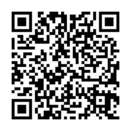 QR code for O959251