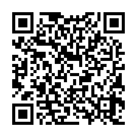 QR code for O95938