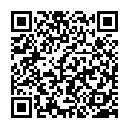QR code for OG2838