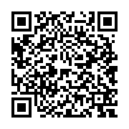 QR code for OG46228