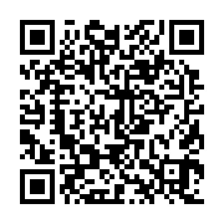 QR code for OIS341