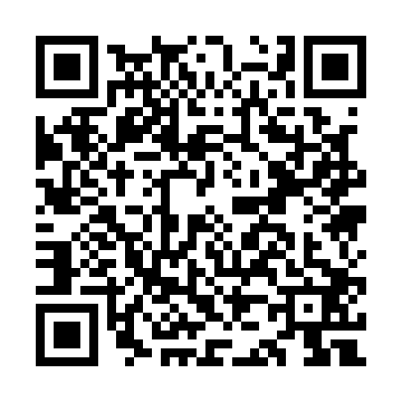 QR code for OJ11029