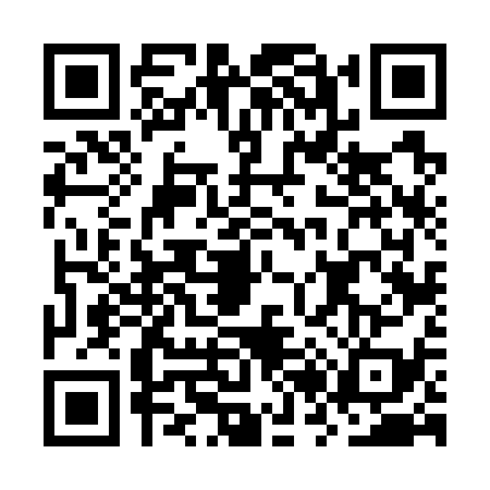 QR code for OR67393