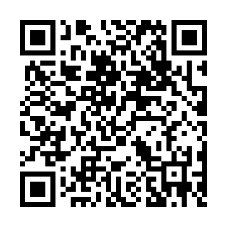 QR code for P00334