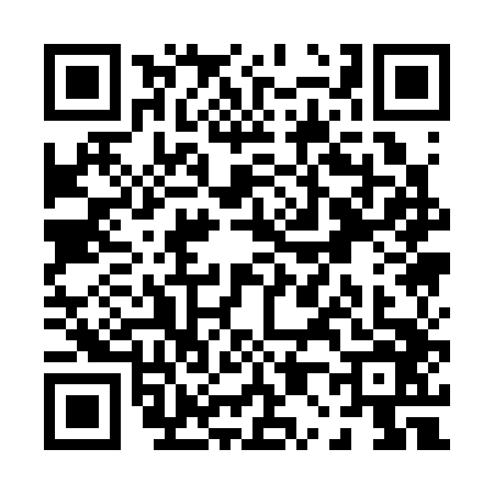 QR code for P013463