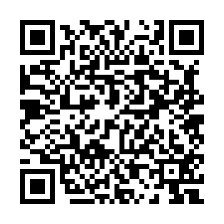 QR code for P028130