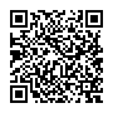 QR code for P029133