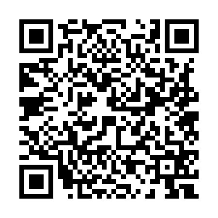 QR code for P029641