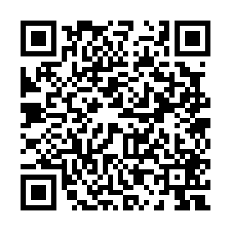 QR code for P030493