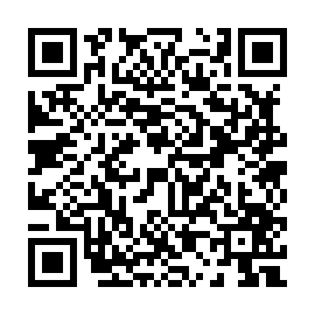 QR code for P038476