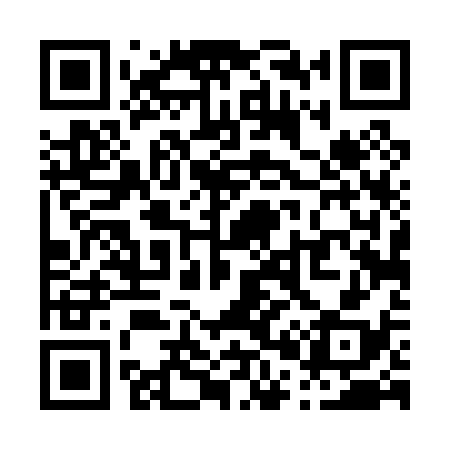 QR code for P04038