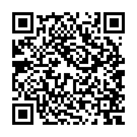 QR code for P042463